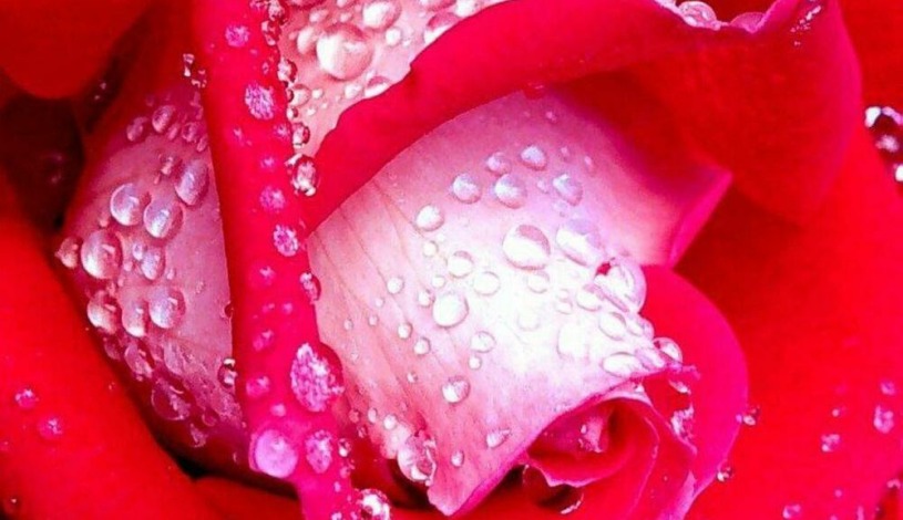 Hotel Podhrad Hluboká nad Vltavou